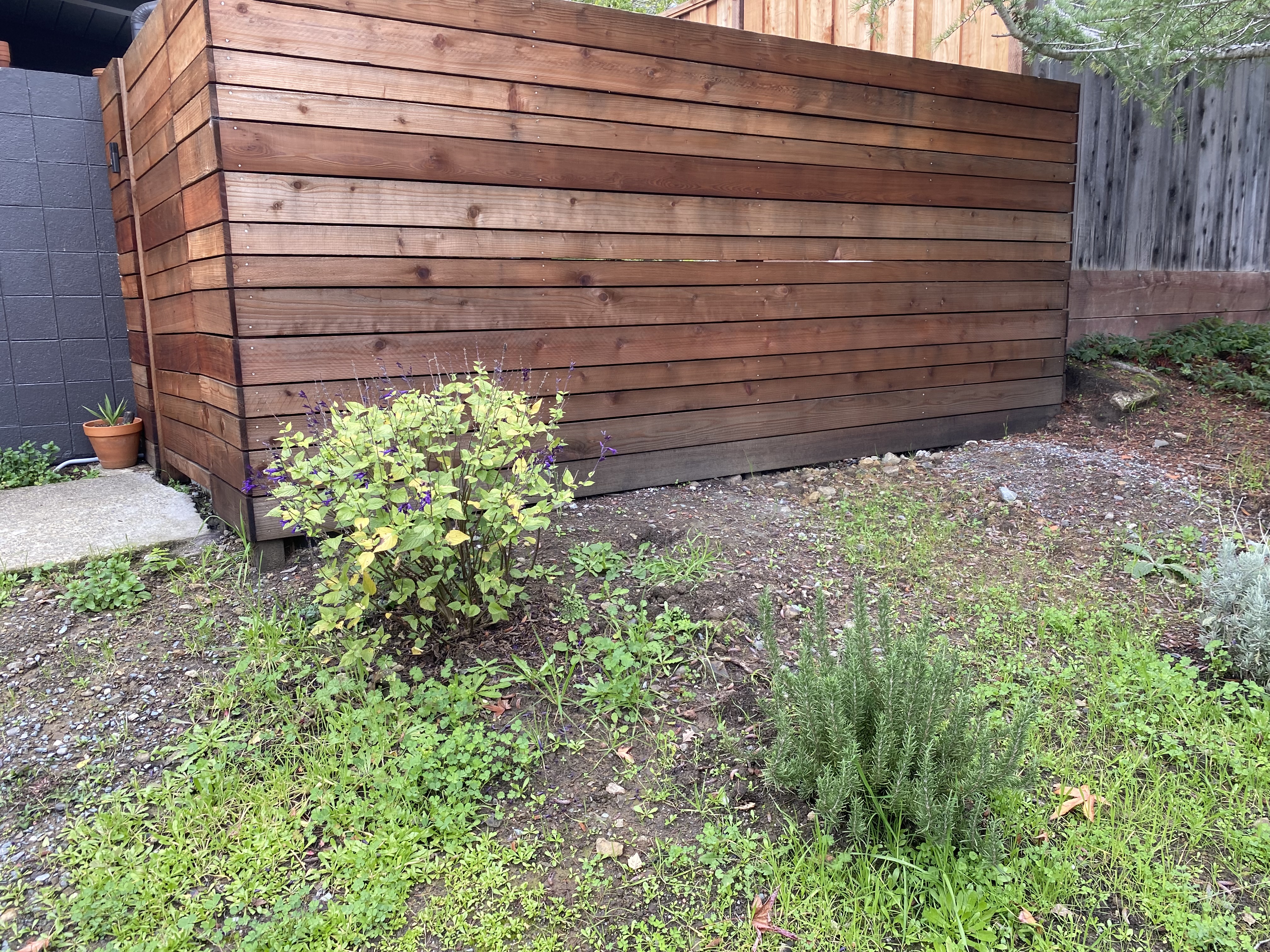Cedar fence corner with garden