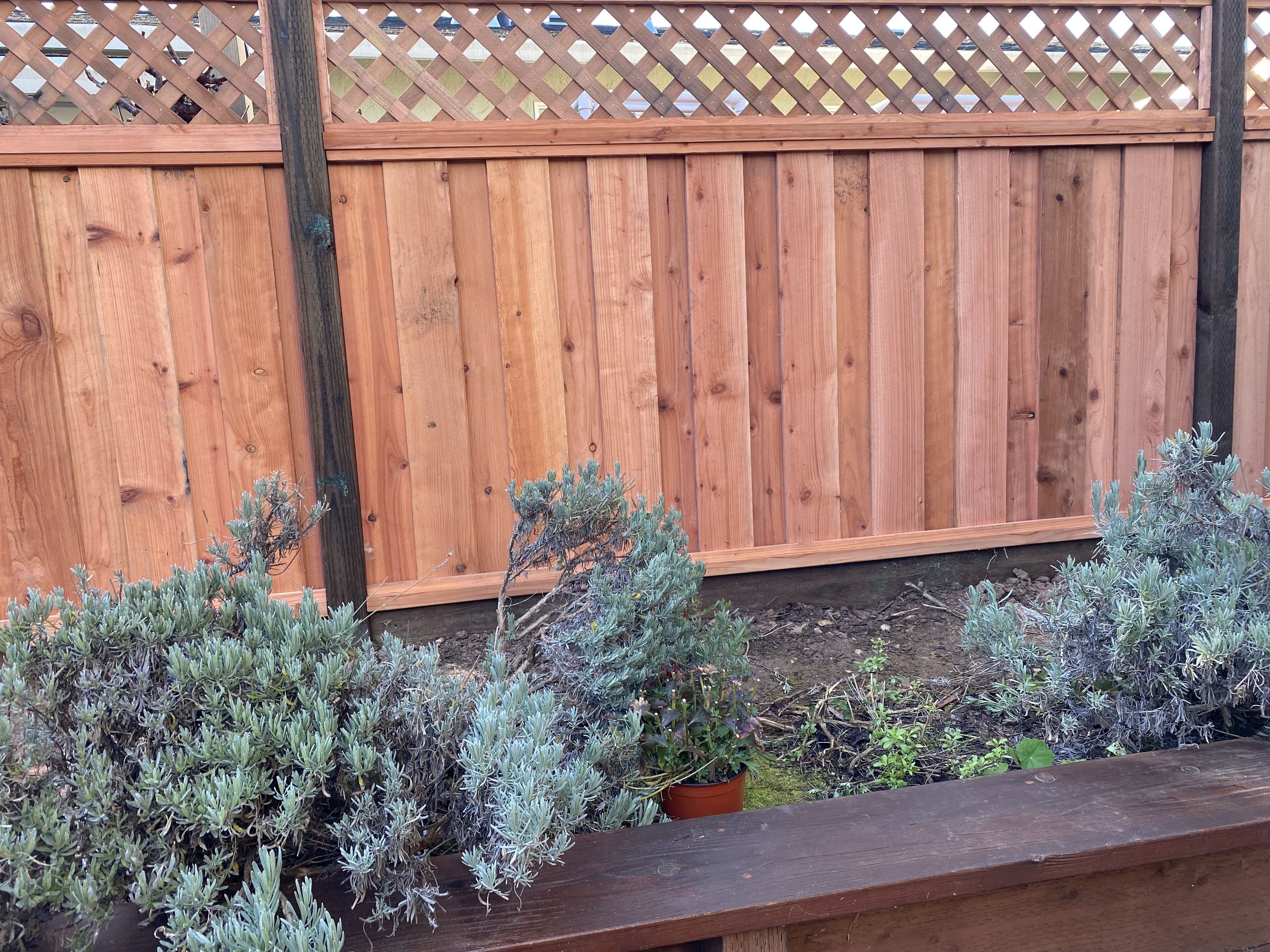 Cedar fence with lattice top and lavender planter