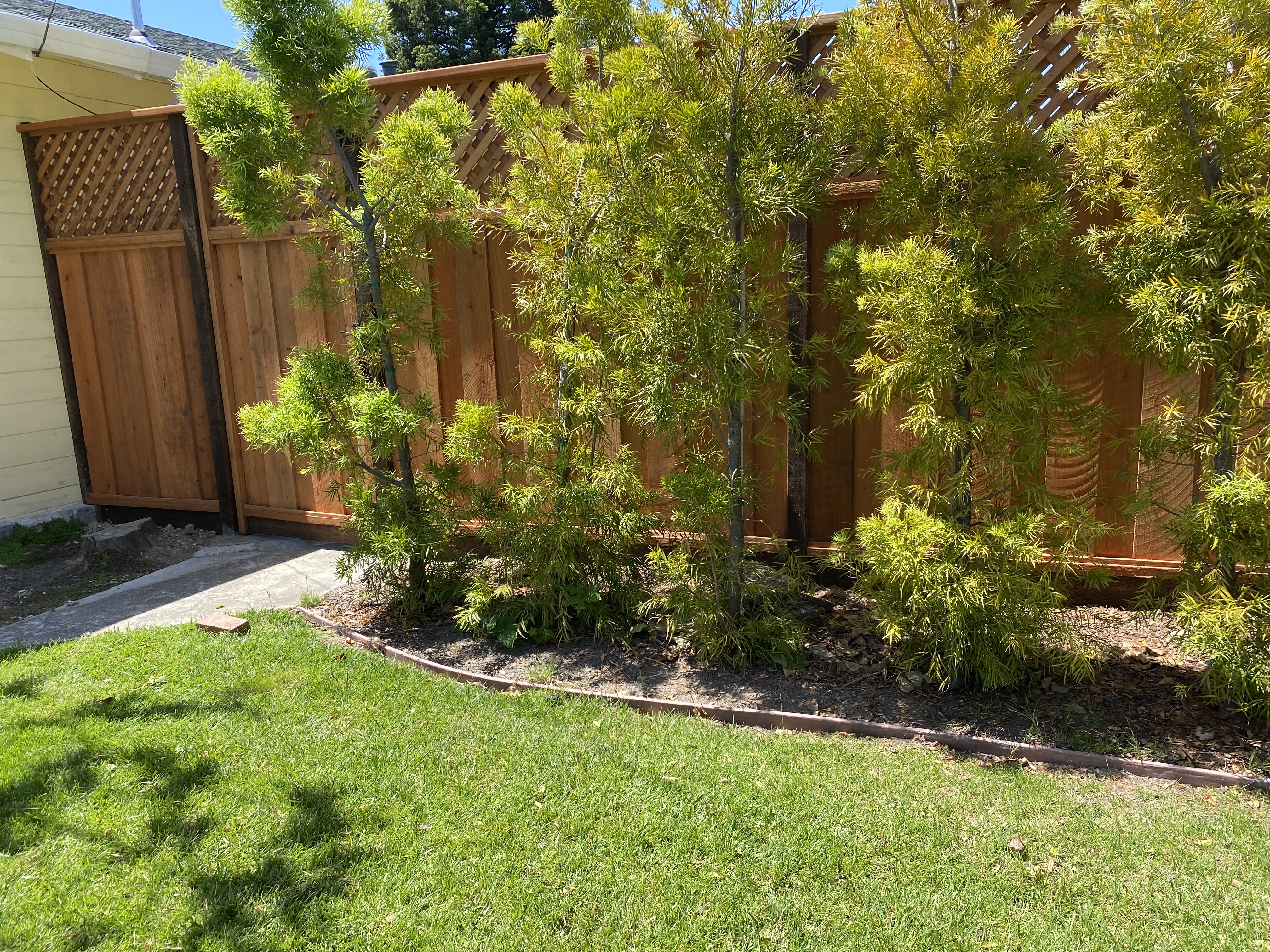 Cedar fence with landscaping