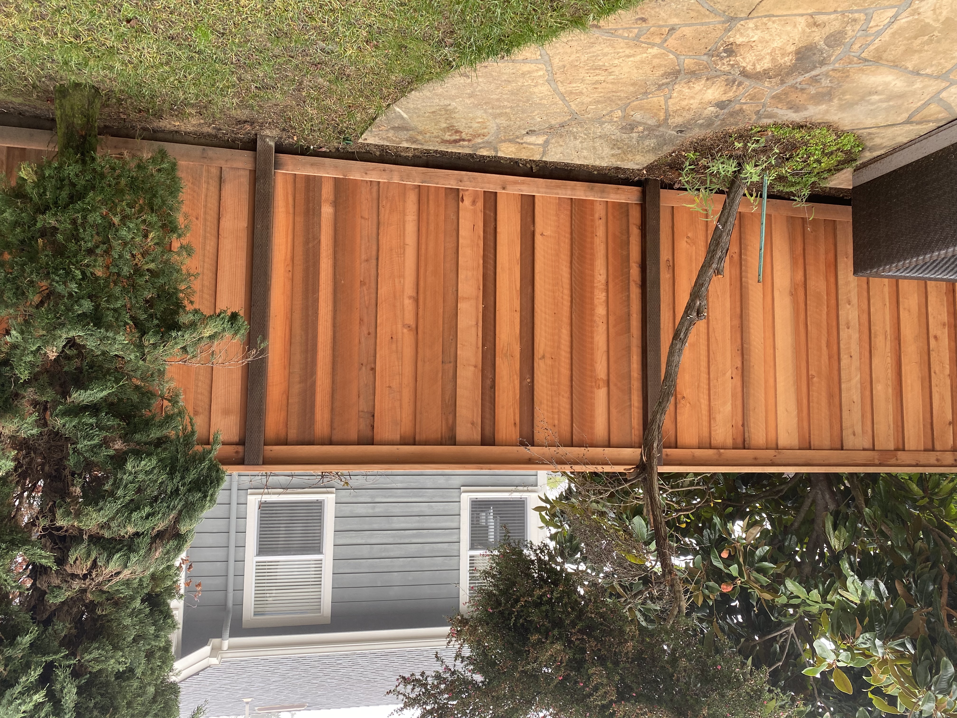 Cedar fence with trees